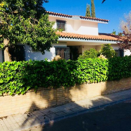 Villa Ferrer Sevilla Ginés Dış mekan fotoğraf