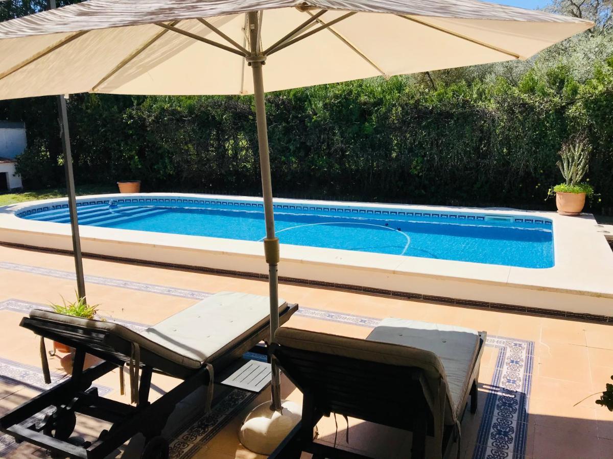 Villa Ferrer Sevilla Ginés Dış mekan fotoğraf