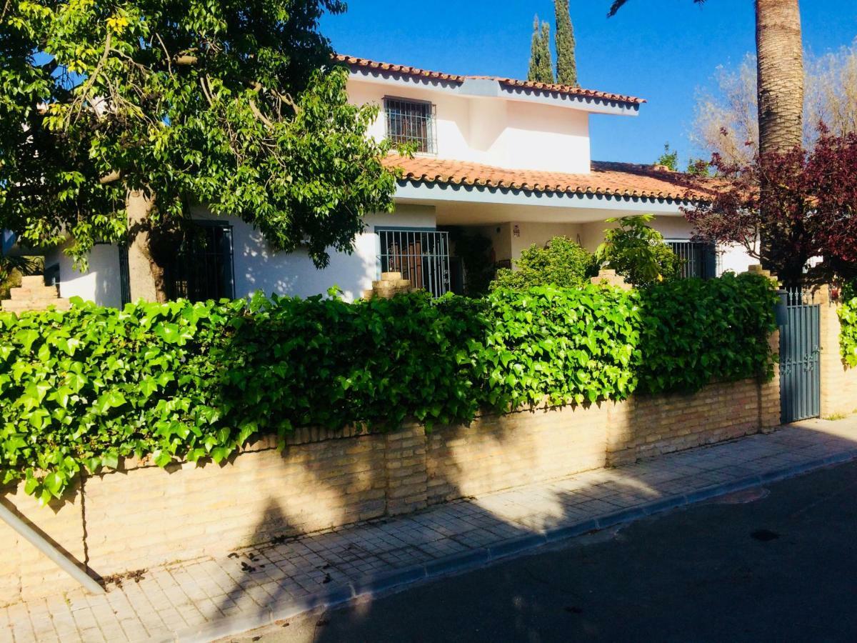 Villa Ferrer Sevilla Ginés Dış mekan fotoğraf