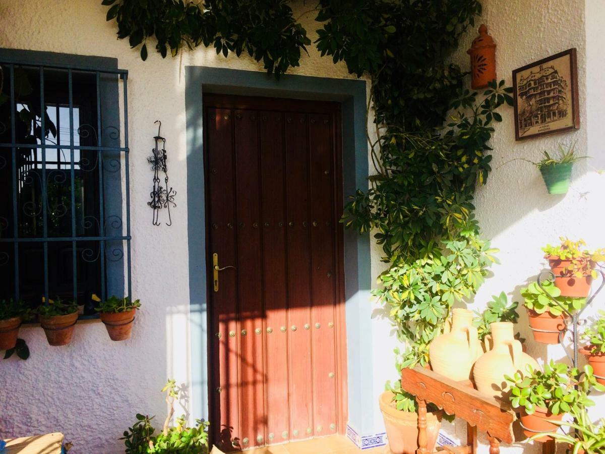 Villa Ferrer Sevilla Ginés Dış mekan fotoğraf